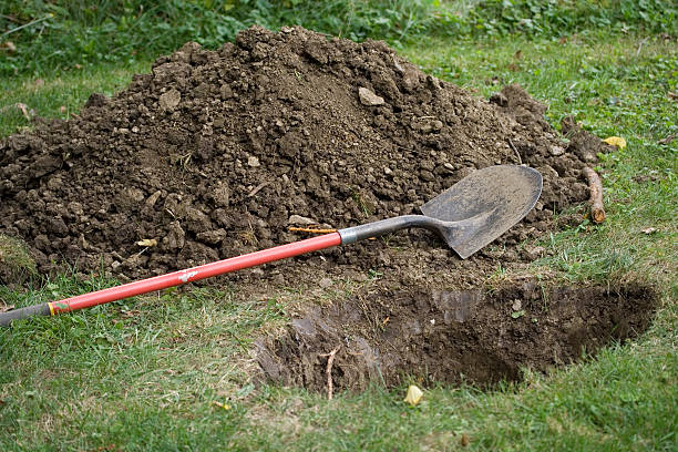 What to Consider When Selecting a Shovel