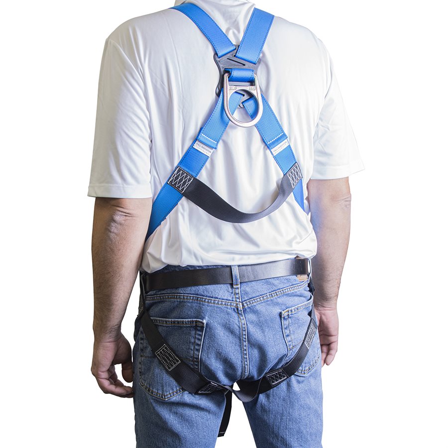 Full Body Safety Harness - Basic